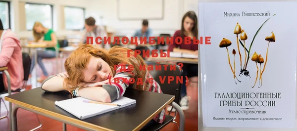 круглые Алзамай