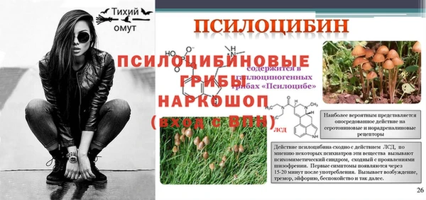 круглые Алзамай