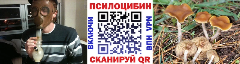 Купить  Буйнакск  Псилоцибиновые грибы Psilocybine cubensis 